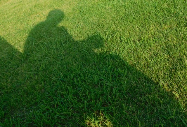 求められる身元保証という課題